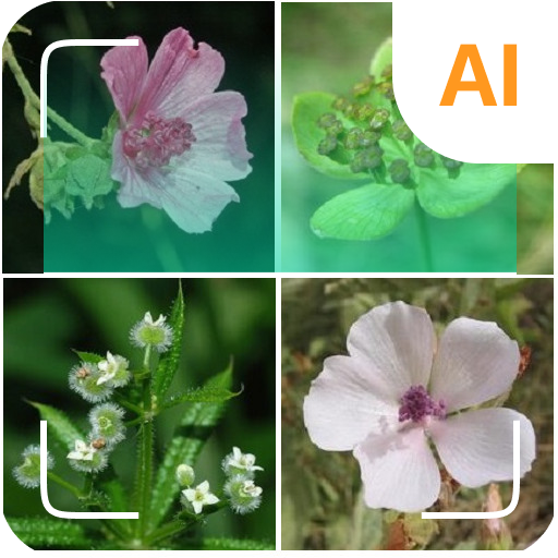 App 1 Icon