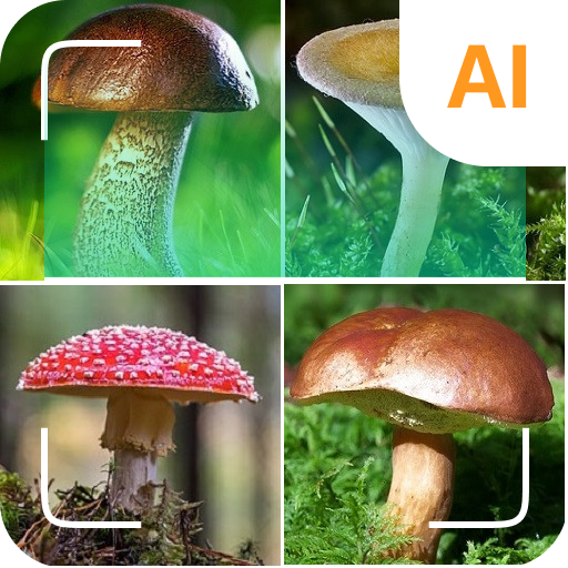 App 2 Icon