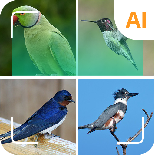 App 3 Icon
